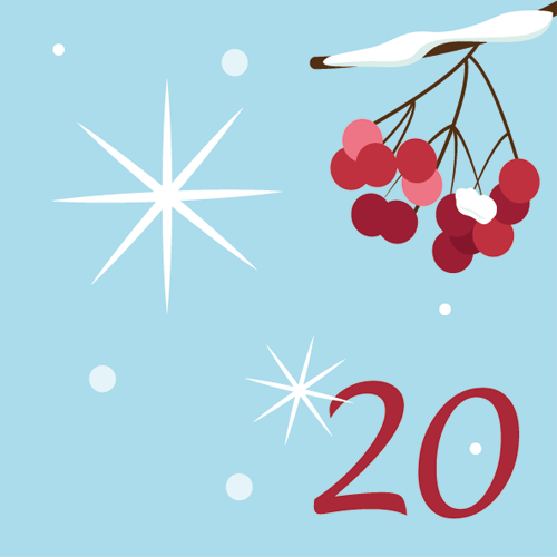 door-20. december